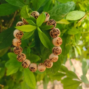 Shyama Tulsi Sri Ram Written with Narsingh Kavach Bracelet for All 4
